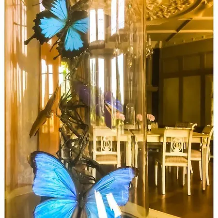 Le Manoir Ivoire Frühstückspension 4*